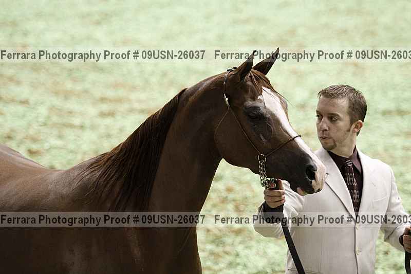 Proof 09usn-26037