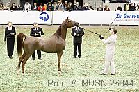 09usn-26044 proof