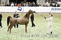09usn-26046 proof