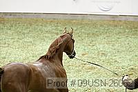 09usn-26062 proof