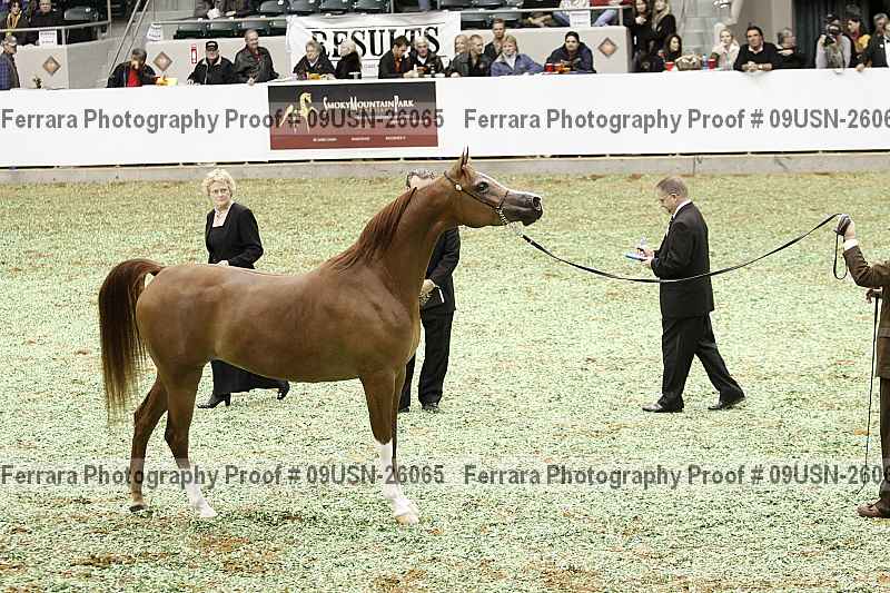 Proof 09usn-26065