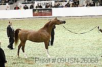 09usn-26068 proof