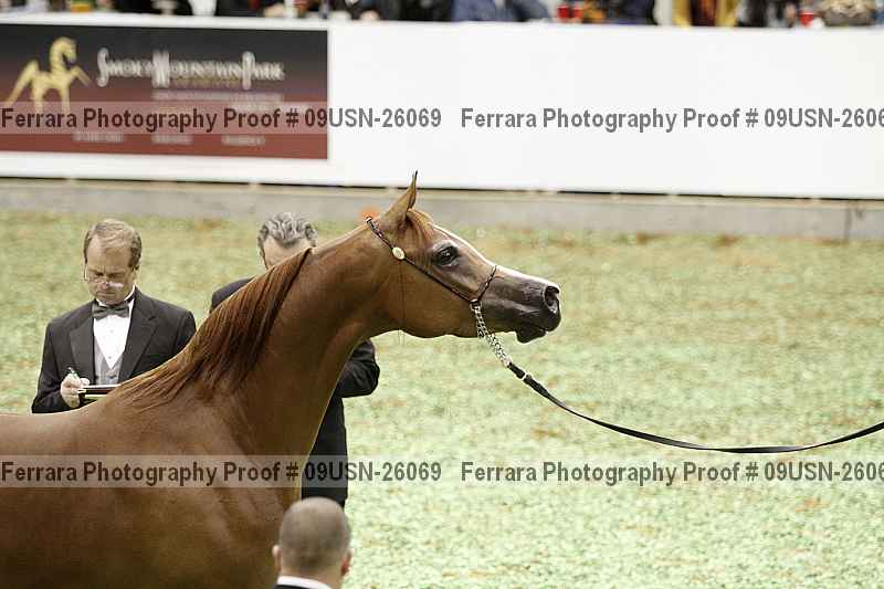 Proof 09usn-26069