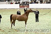 09usn-26072 proof