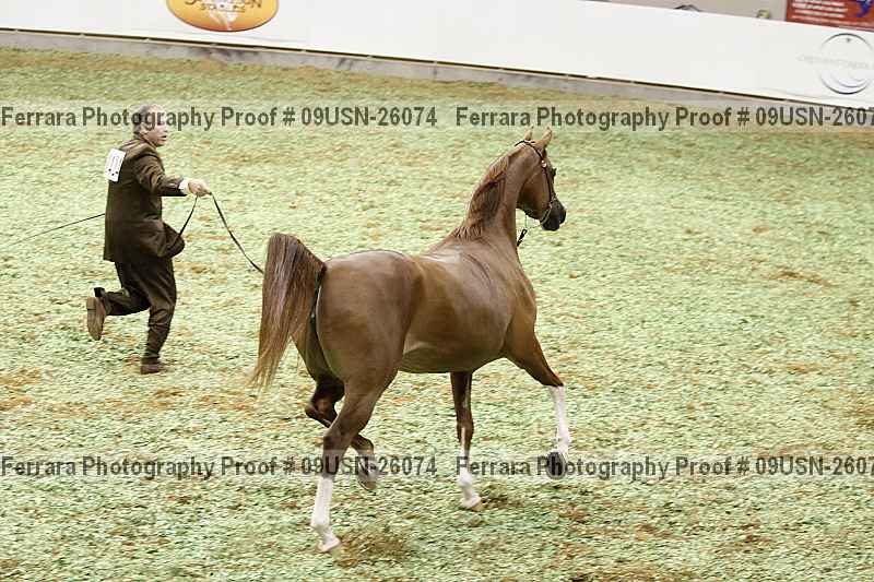 Proof 09usn-26074