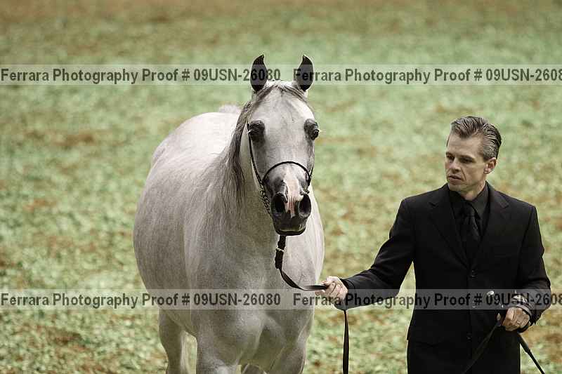 Proof 09usn-26080