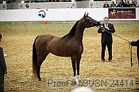 09usn-24414 proof