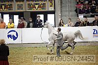 09usn-24452 proof