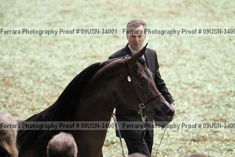 Proof 09usn-34001