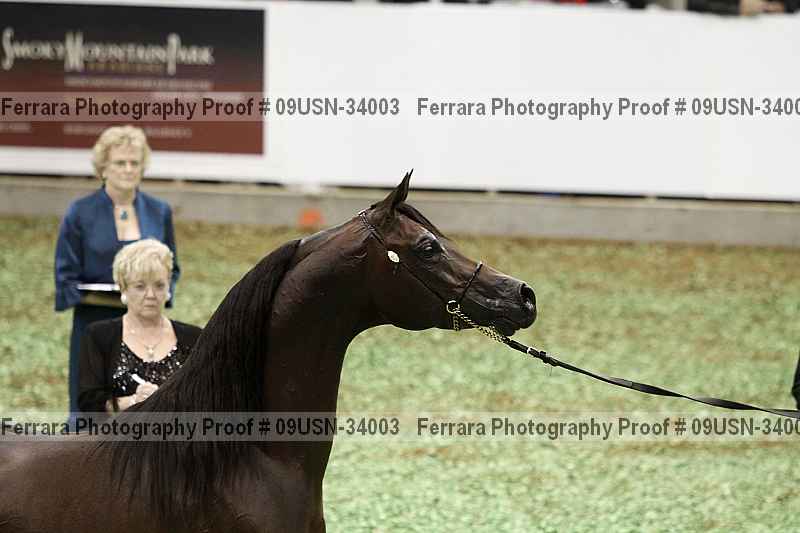 Proof 09usn-34003