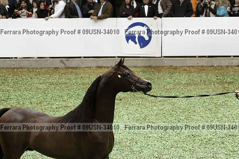 Proof 09usn-34010