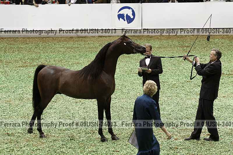 Proof 09usn-34013
