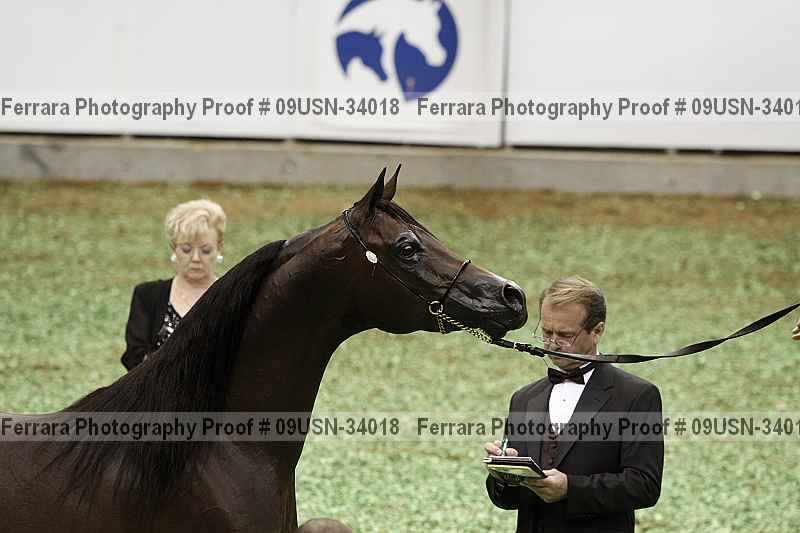 Proof 09usn-34018