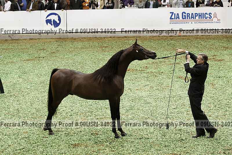 Proof 09usn-34022