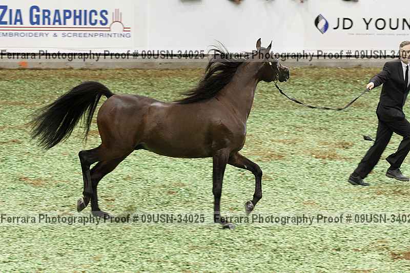 Proof 09usn-34025