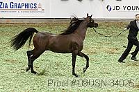 09usn-34025 proof
