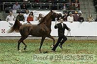 09usn-34026 proof