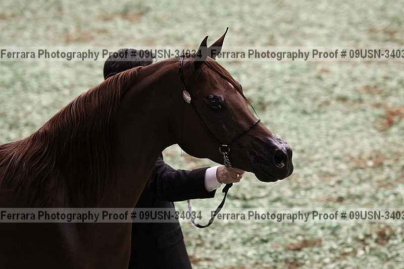 Proof 09usn-34034