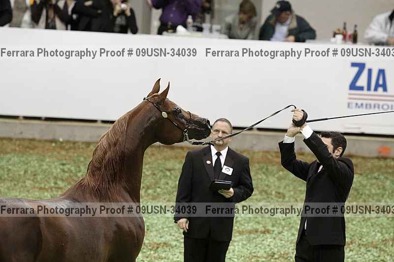 Proof 09usn-34039