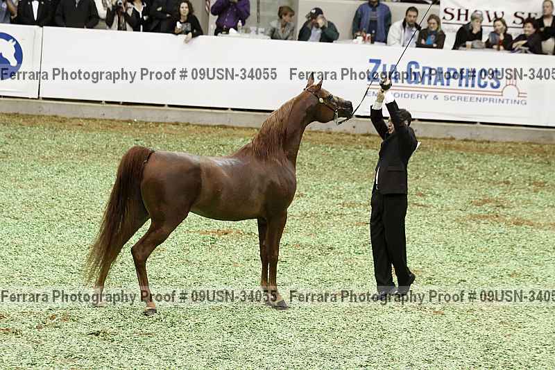 Proof 09usn-34055