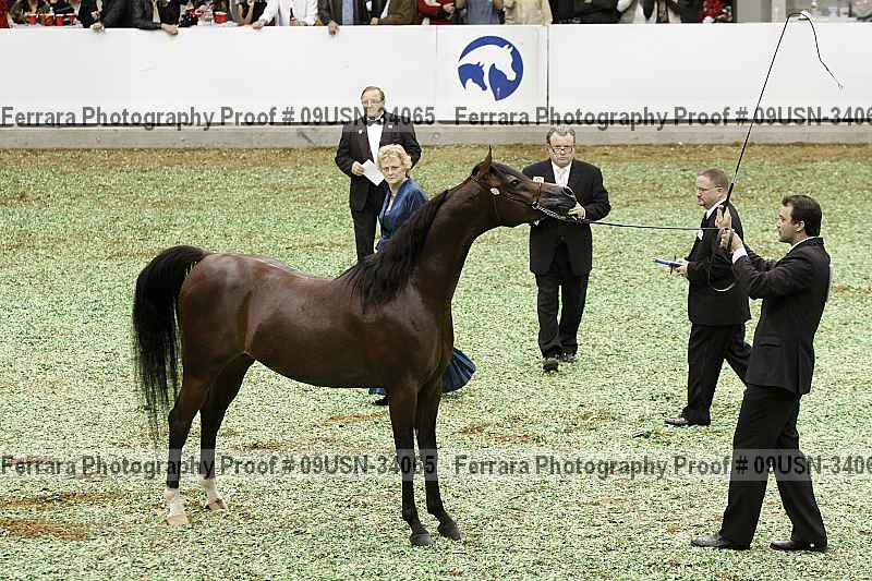 Proof 09usn-34065