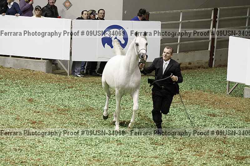 Proof 09usn-34069