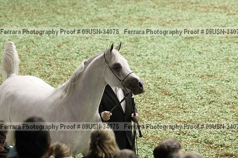 Proof 09usn-34075