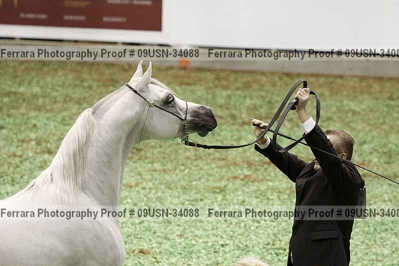 Proof 09usn-34088