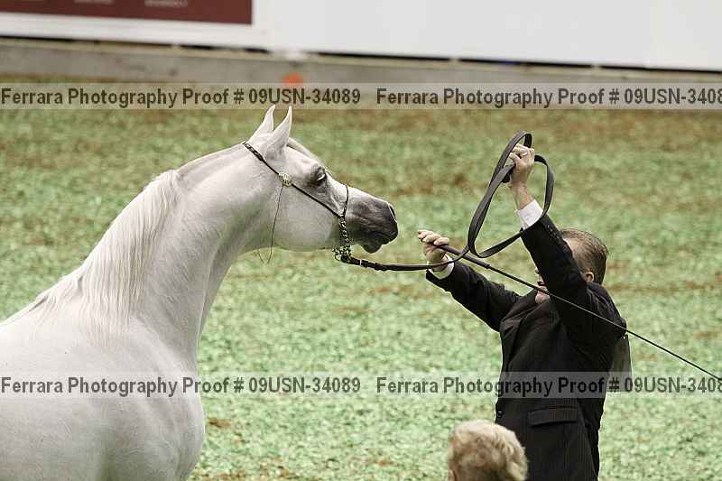 Proof 09usn-34089