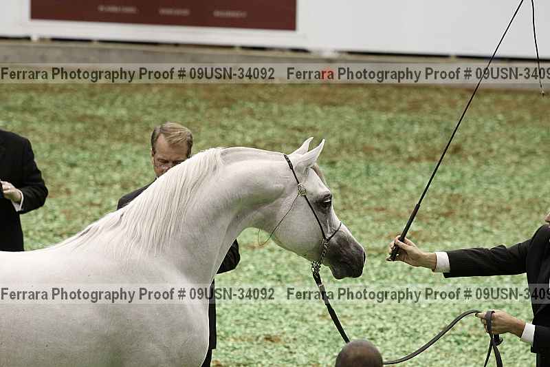 Proof 09usn-34092