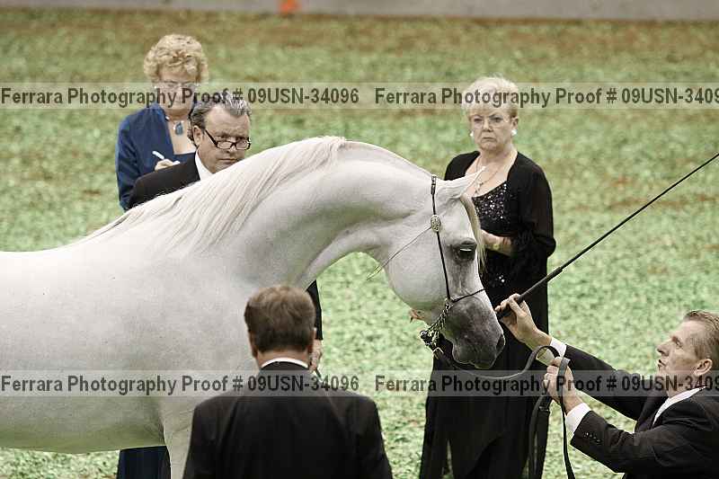Proof 09usn-34096