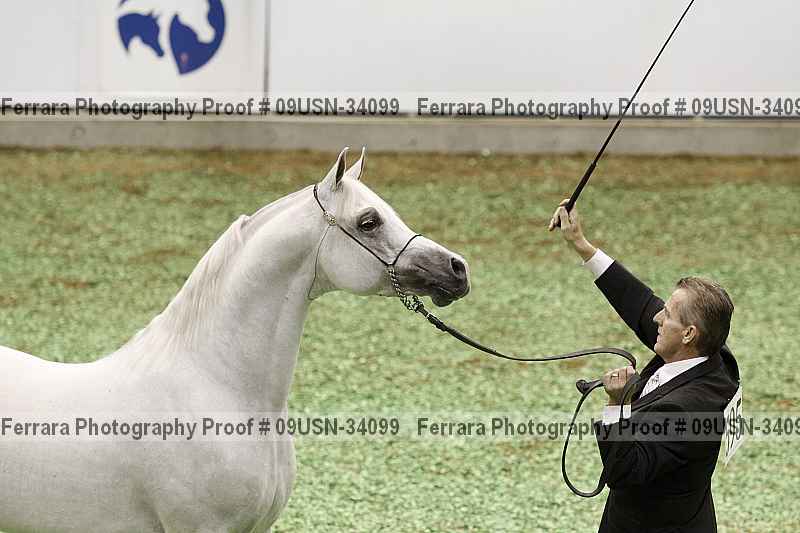 Proof 09usn-34099