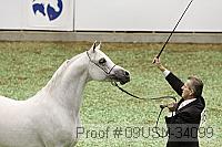 09usn-34099 proof