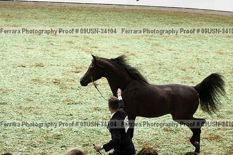 Proof 09usn-34104