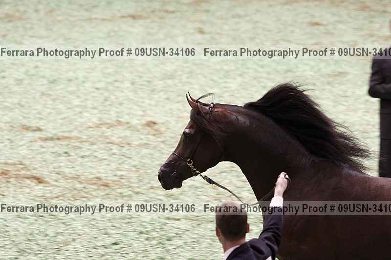 Proof 09usn-34106