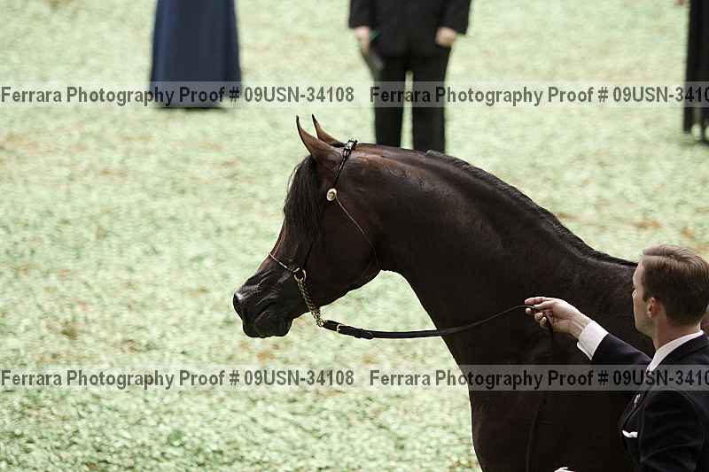 Proof 09usn-34108
