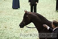 09usn-34108 proof