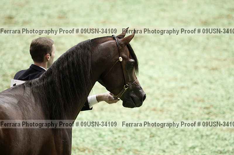 Proof 09usn-34109