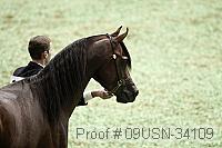 09usn-34109 proof
