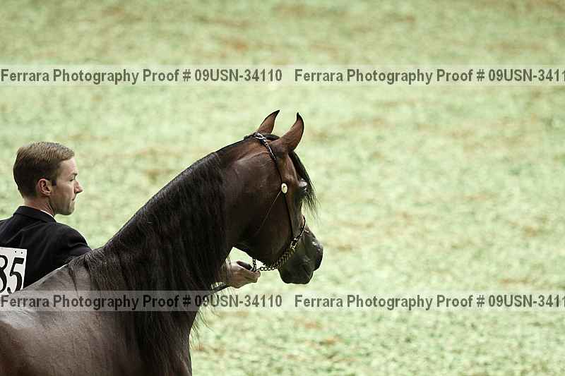 Proof 09usn-34110