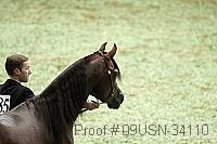 09usn-34110 proof