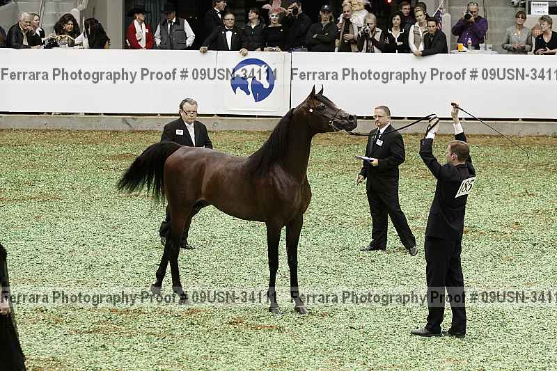 Proof 09usn-34111