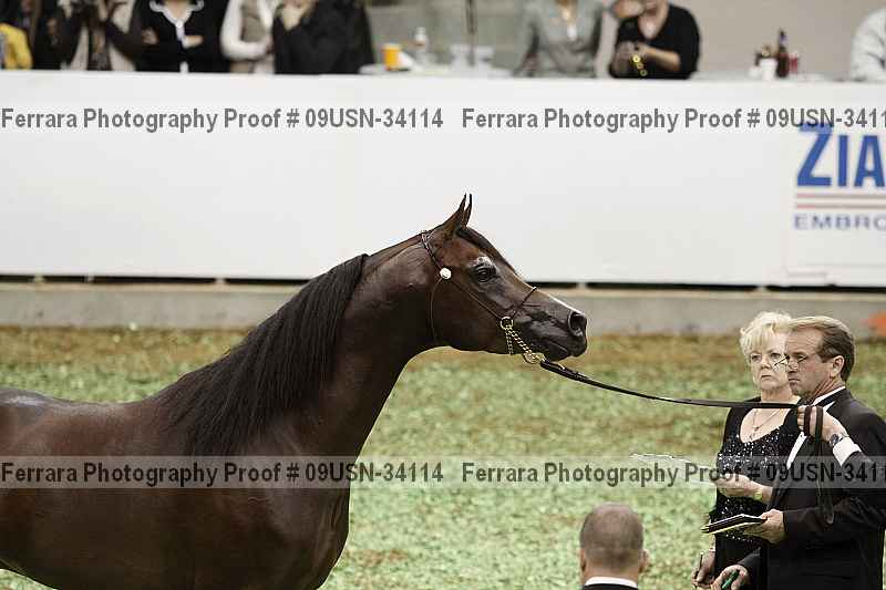 Proof 09usn-34114