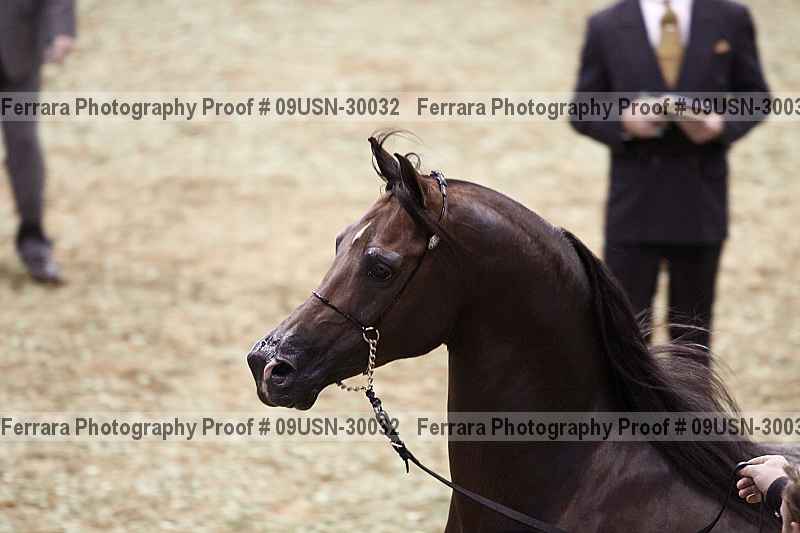 Proof 09usn-30032