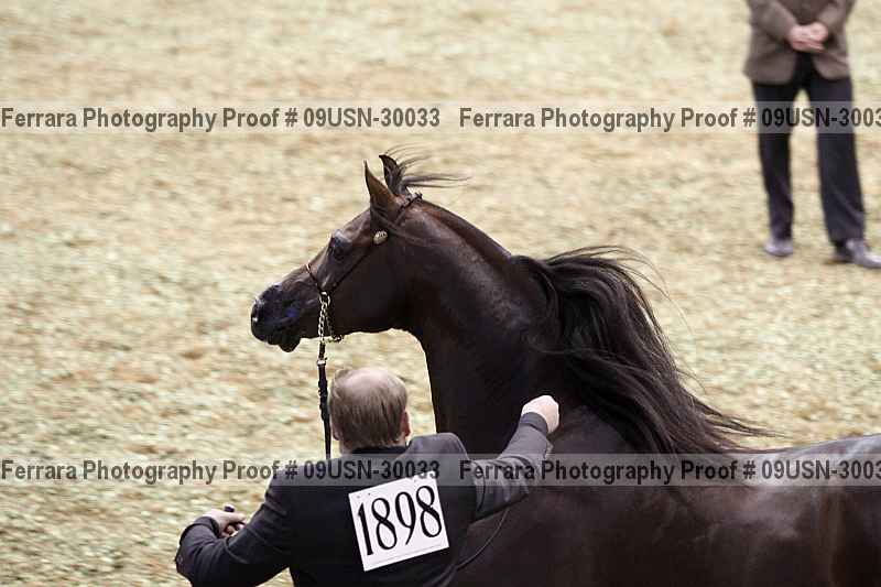 Proof 09usn-30033