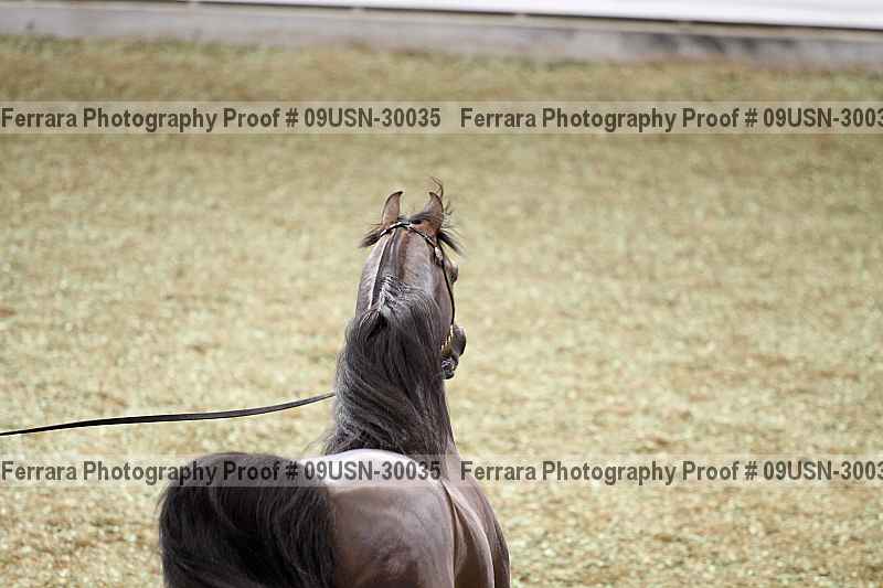 Proof 09usn-30035