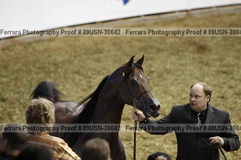 Proof 09usn-30042