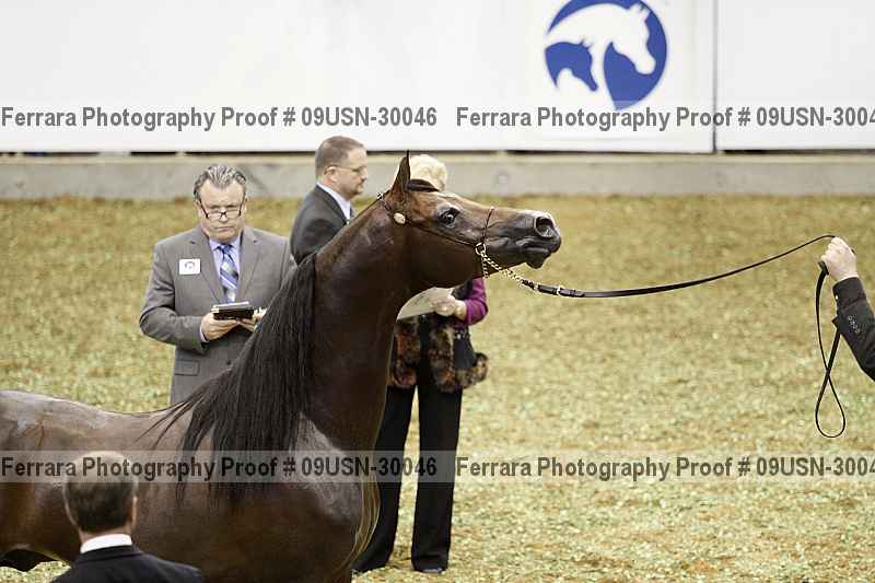 Proof 09usn-30046