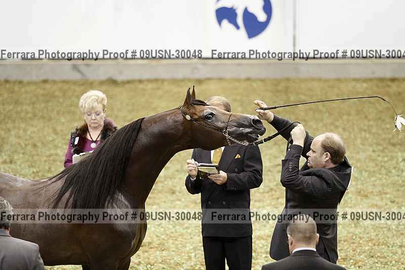 Proof 09usn-30048