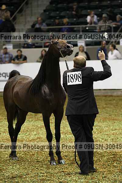 Proof 09usn-30049